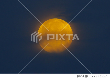 淀む丸いお月様 77226002