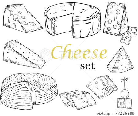 Sketch of different types of cheese. Vector. Hand drawing. 77226889