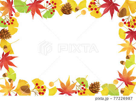 은행 나무와 단풍 등 가을의 이미지 벡터 일러스트 프레임 - 스톡일러스트 [77226987] - Pixta