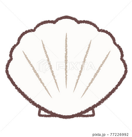 Scallop Stock Illustration