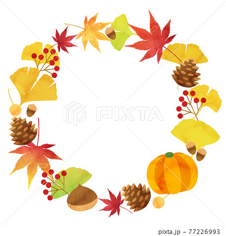 은행 나무와 단풍 등 가을의 이미지 벡터 일러스트 프레임 - 스톡일러스트 [77226993] - Pixta