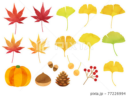 イチョウやもみじなどの秋のイメージのベクターイラストセットのイラスト素材