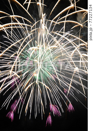 ≪京都府　亀岡平和祭保津川花火大会≫　京都府亀岡市　花火イメージ 77227134