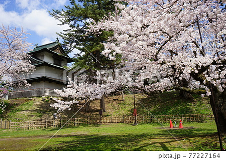 桜の名所　弘前公園 丑寅櫓 77227164