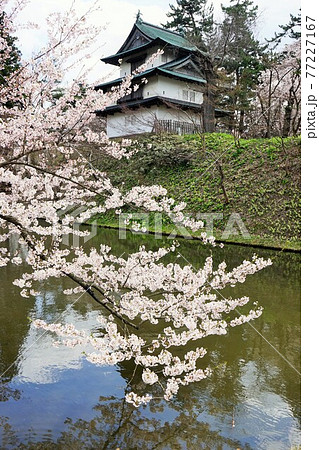 桜の名所　弘前公園 丑寅櫓 77227167