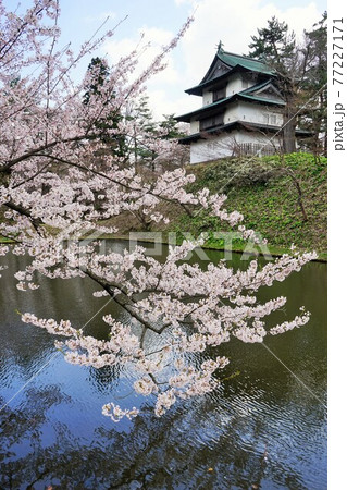 桜の名所　弘前公園 丑寅櫓 77227171
