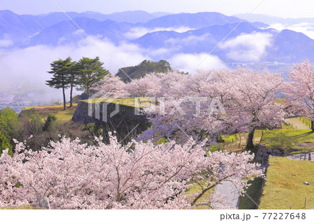 竹田城跡 竹田城跡 77227648