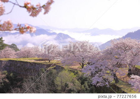 竹田城跡 77227656