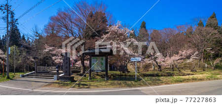 桜咲く土津(はにつ)神社、正面パノラマ (猪苗代、福島) 77227863