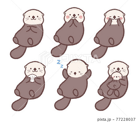 Sea Otter Variation Set Stock Illustration