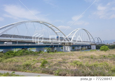 淀川左岸上流側から見る大阪モノレール淀川橋梁と鳥飼大橋 77228847