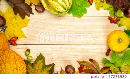 Leaf autumn. Natural harvest with orange pumpkin, fall dried leaves, red berries and acorns, chestnuts on wooden background in shape frame. Concept of Thanksgiving day or Halloween. Leaf autumn. Natural harvest with orange pumpkin, fall dried leaves, red berries and acorns, chestnuts on wooden background in shape frame. Concept of Thanksgiving day or Halloween. 77228920