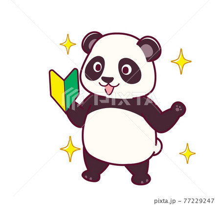 可愛いパンダ 77229247
