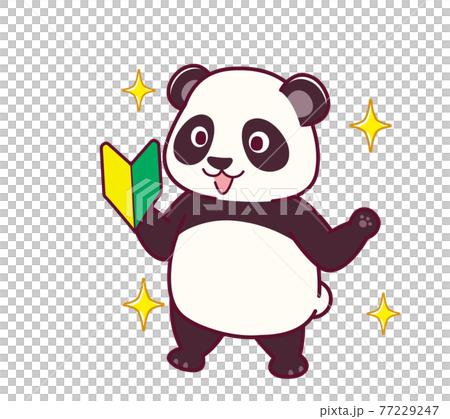 可愛いパンダ 77229247