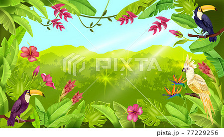 Jungle vector landscape, tropical forest background, toucan, parrot, exotic flower, sun rays. Jungle vector landscape, tropical forest background, toucan, parrot, exotic flower, sun rays. 77229256