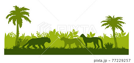 Jungle forest silhouette background, palm trees outline, leopard, jaguar, foliage, bushes, grass Jungle forest silhouette background, palm trees outline, leopard, jaguar, foliage, bushes, grass 77229257