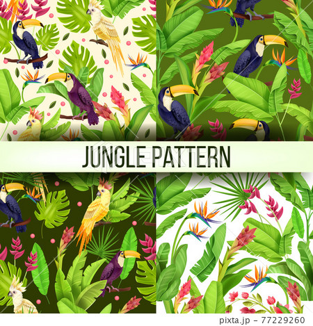Jungle vector seamless pattern exotic collection, parrot, toucan, banana leaves, monstera flowers 77229260