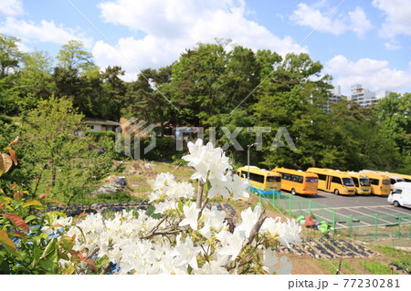 韓国 距離 住宅 77230281