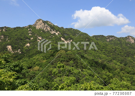 風景 韓国 住宅 77230307