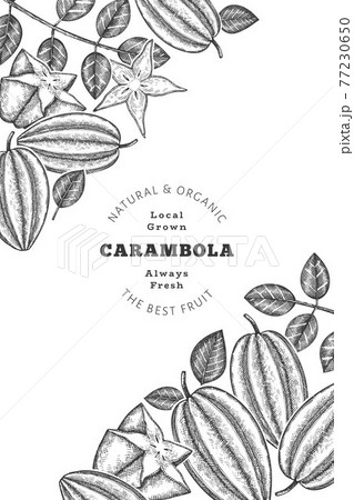 Hand drawn sketch style carambola banner. Organic fresh fruit vector illustration. Retro fruit design template Hand drawn sketch style carambola banner. Organic fresh fruit vector illustration. Retro fruit design template 77230650