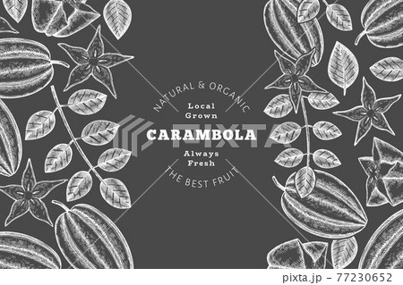 Hand drawn sketch style carambola banner. Organic fresh fruit vector illustration on chalk board. Retro fruit design template Hand drawn sketch style carambola banner. Organic fresh fruit vector illustration on chalk board. Retro fruit design template 77230652