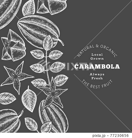 Hand drawn sketch style carambola banner. Organic fresh fruit vector illustration on chalk board. Retro fruit design template Hand drawn sketch style carambola banner. Organic fresh fruit vector illustration on chalk board. Retro fruit design template 77230656