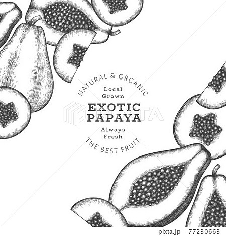Hand Drawn Sketch Style Papaya Banner Organic のイラスト素材