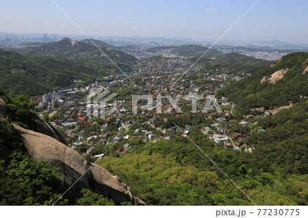 都市 都会 風景 77230775