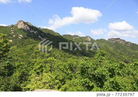 風景 韓国 山 77230797