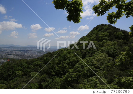 都市 都会 風景 77230799