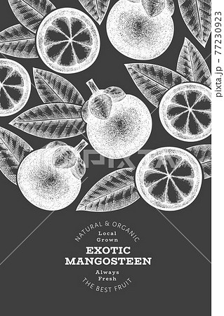 Hand drawn sketch style mangosteen design template. Organic fresh food vector illustration on chalk board. Retro fruit banner. Hand drawn sketch style mangosteen design template. Organic fresh food vector illustration on chalk board. Retro fruit banner. 77230923