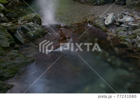 夏の檜原村、龍神の滝前の南秋川、透明度の高い清流に木洩れ日が反射する 夏の檜原村、龍神の滝前の南秋川、透明度の高い清流に木洩れ日が反射する 77231080