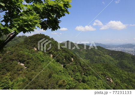 山 風景 時価 77231133