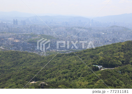 山 風景 都市 77231181