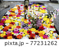 色とりどりの花が浮かぶ花手水 77231262