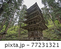 出羽三山神社の国宝五重塔 77231321