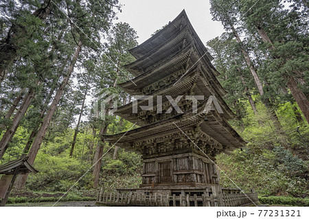 出羽三山神社の国宝五重塔 77231321