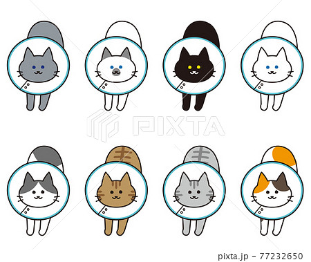 エリザベスカラーを付けた伸びをしている様々な猫種の全身セット 77232650
