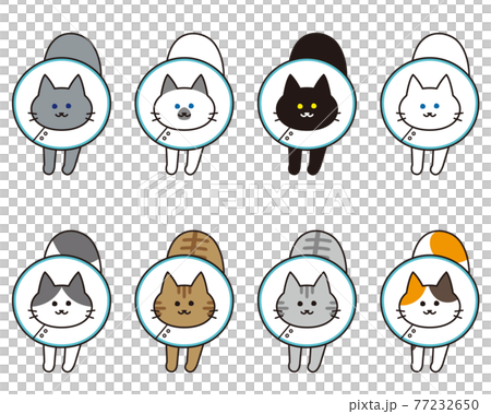 エリザベスカラーを付けた伸びをしている様々な猫種の全身セット 77232650