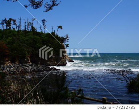 小貝ヶ浜緑地から見た小貝浜海岸 小貝ヶ浜緑地から見た小貝浜海岸 77232735