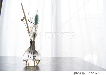 日光に輝くボタニカル 77232869