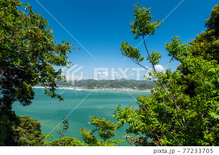 木の間から見える千葉県富浦親港 5月 木の間から見える千葉県富浦親港 5月 77233705