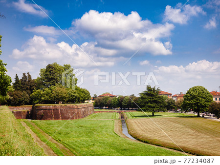 Ancient fortified walls of the city of Lucca Tuscany Italy Ancient fortified walls of the city of Lucca Tuscany Italy 77234087