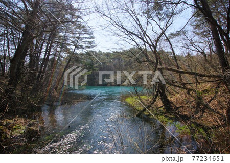毘沙門沼/裏磐梯五色沼湖沼群 毘沙門沼/裏磐梯五色沼湖沼群 77234651