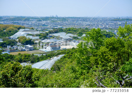 大阪府羽曳野市 駒ヶ谷小学校と広大なぶどう畑を望む 展望台からの景色 地域資料 77235058