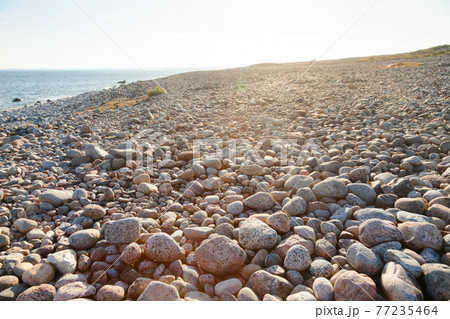 Cobble deposit at Molen UNESCO Global Geopark Larvik Vestfold Norway Scandinavia 77235464