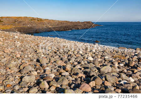 Cobble deposit at Molen UNESCO Global Geopark Larvik Vestfold Norway Scandinavia 77235466