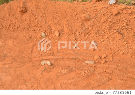 The ground is red. 77235661