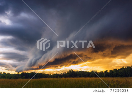 Storm Clouds in sunset light, dramatic storm clouds 77236053