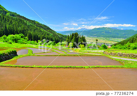 福島新田の棚田より飯山市街地、斑尾山方面を望む(長野県飯山市)【2020.5】 福島新田の棚田より飯山市街地、斑尾山方面を望む(長野県飯山市)【2020.5】 77236274
